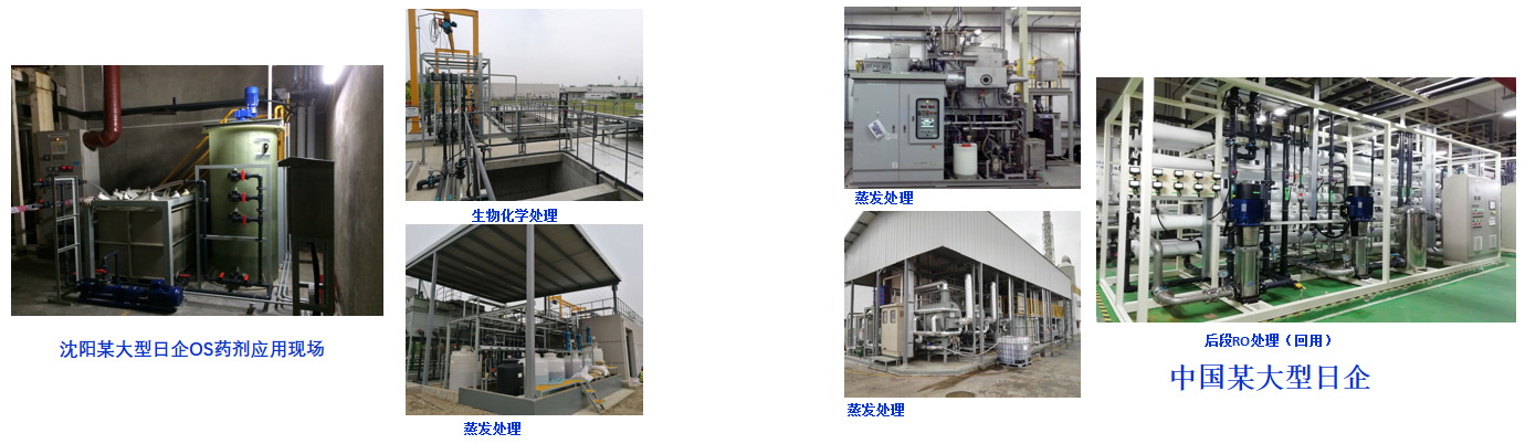 1740022463720976.jpg 1697187741954796.jpg